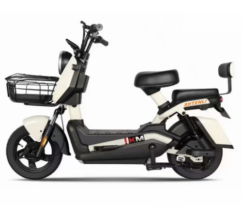 Электроскутер Shtenli Model 21 Performance (аккумулятор 4шт 20Ач12В)