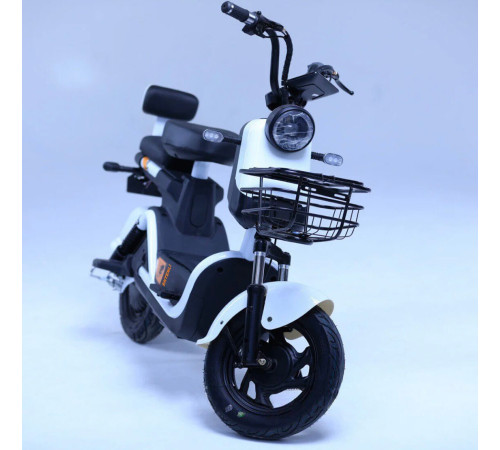 Электроскутер Shtenli Model 21 Performance (аккумулятор 4шт 20Ач12В)