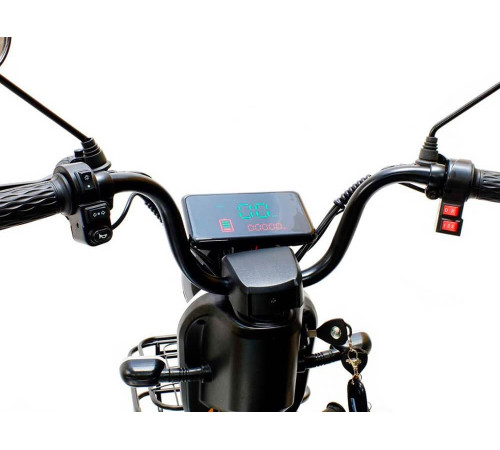 Электроскутер Shtenli Model 21 Performance (аккумулятор 4шт 20Ач12В)