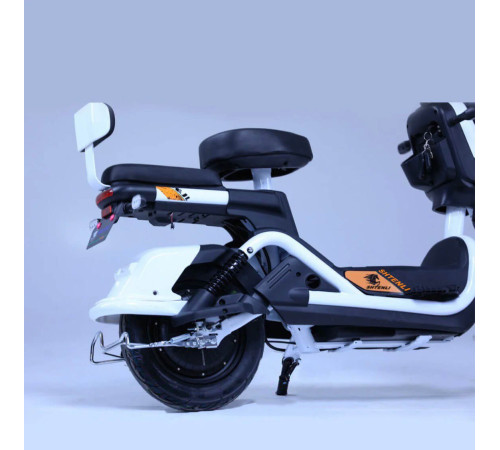 Электроскутер Shtenli Model 21 Performance (аккумулятор 4шт 20Ач12В)