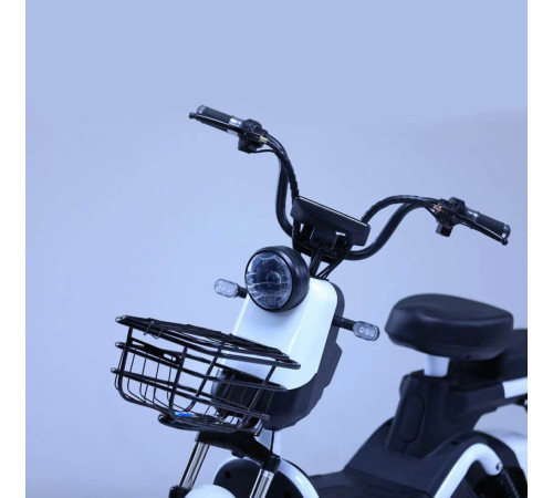 Электроскутер Shtenli Model 21 Performance (аккумулятор 4шт 20Ач12В)